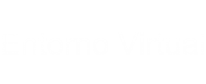 Campus Virtual